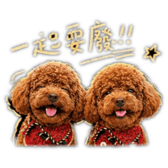我GA日常