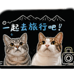 石家兄弟