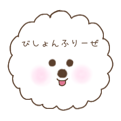 Cute and Fluffy Bichon Frise