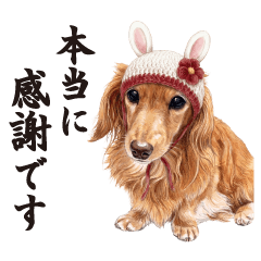 everyday dogs(Frequently used words)