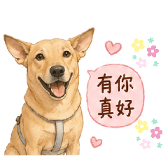 妞寶的表情貼圖
