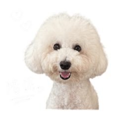 可愛悠悠的日常話語