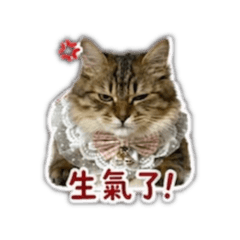 ㄋㄧㄚ