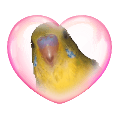 S-maruko-A