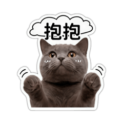 浣熊是隻+9貓
