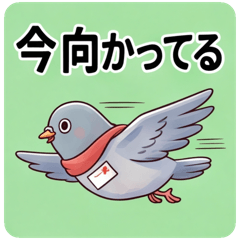 Status Pigeon Peace