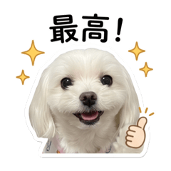 Elly_20260508152644
