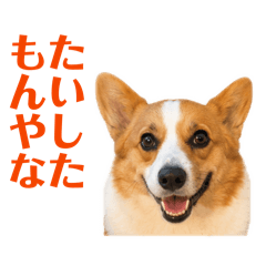 Piri&yumeisun_20260508152829