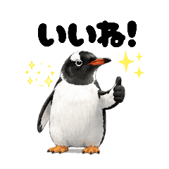 QuikStamp_20260508161334