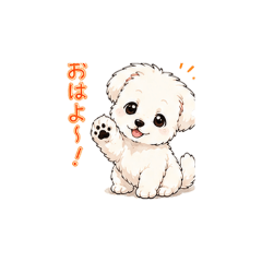 shoan_20260508161536