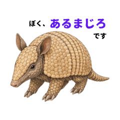 Chill Armadillo Stickers
