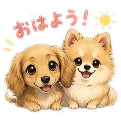 MOMO_20260508203717