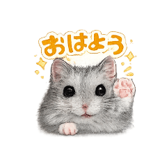 Fukudamayumi_20260508204432