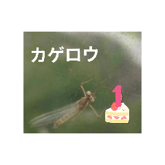 Yama_20260508204435