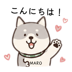 Marochan Biyori_20260508232410