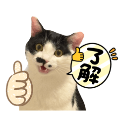 Nyakopara