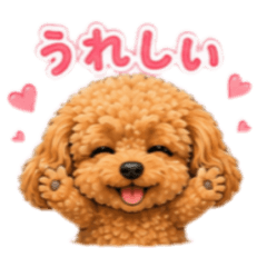 Wanko_20260508233004