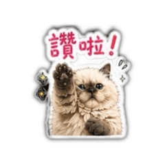 我曾有錢錢錢