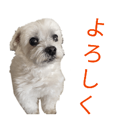 itsuki_20260508210123