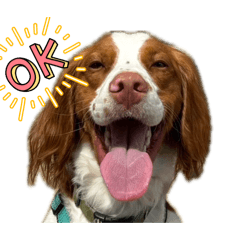 Ginger_stamp