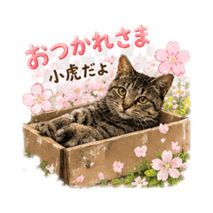TomomiAmagai_20260508210751
