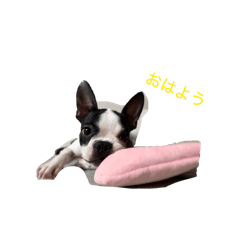 k.h_20260509001516