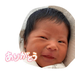 sho_20260509001206