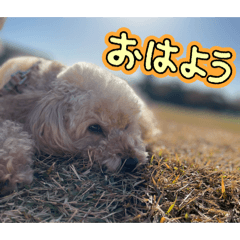 kiho_20260509001744