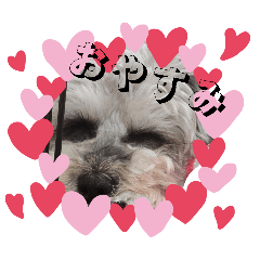 wans_20260509001924