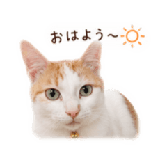 mika Atelier_20260509002017