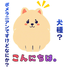 Cute Pomeranian Stanp Stickers
