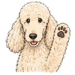 Cream Standard Poodle Daily Stickers