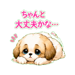 Shih Tzu Who Gets Worried at Night