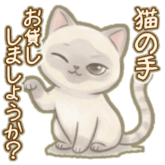 No.34 Siamese Cat