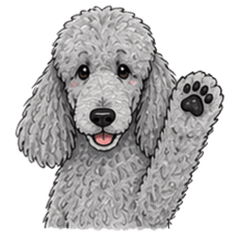 Gray Standard Poodle Stickers