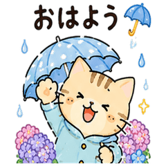 Mario's Rainy Season Greetings