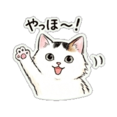 nekotyann sticker 03