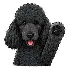 Black Standard Poodle Stickers