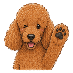 Red Standard Poodle Daily Stickers