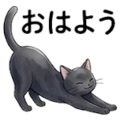 Black Cat Stickers | Elegant Daily