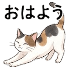 Calico Cat Stickers | Graceful Daily