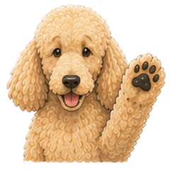 Apricot Standard Poodle Stickers