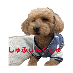 BANARIN_20260508212613