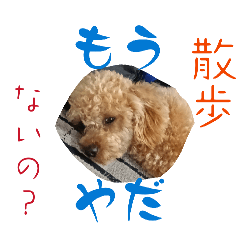 shuto_20260508212808