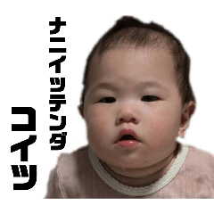 yyy_20260508213105