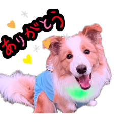 NakamuraRudo_20260508213035