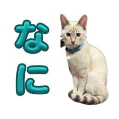 hinata_20260509005404