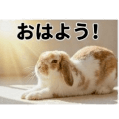 helper39_20260509010338