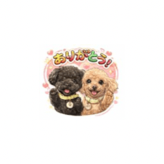 Cute Two Toy Poodles Stickers