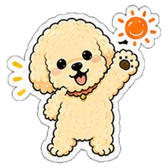 Fluffy Toy Poodle Sasu-kun